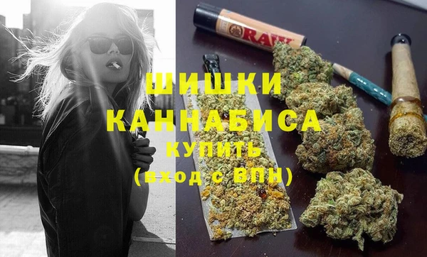 стаф Каменногорск