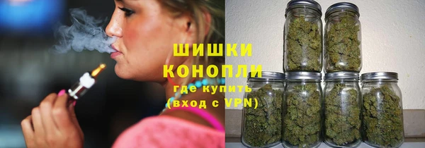молекула духа Каменка