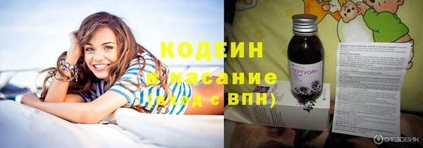 стаф Каменногорск