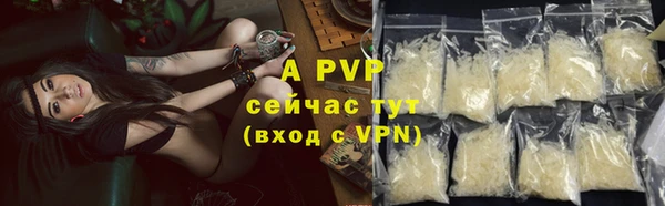 прущий лед Карпинск