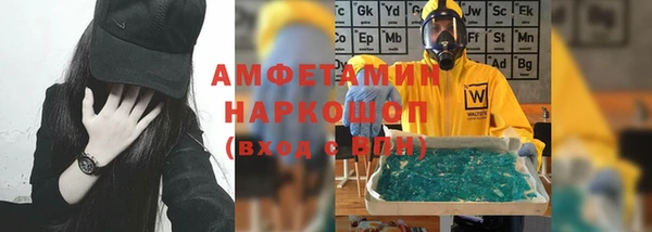 молекула духа Каменка
