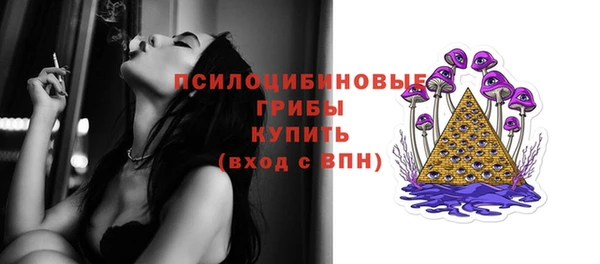 молекула духа Каменка