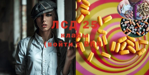стаф Каменногорск