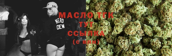стаф Каменногорск