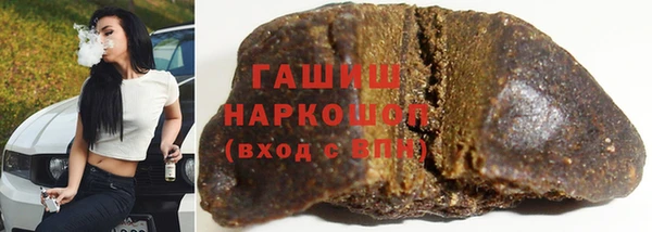 стаф Каменногорск