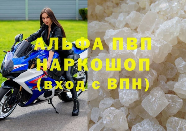 молекула духа Каменка