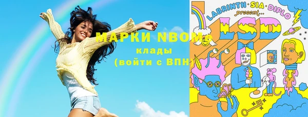 молекула духа Каменка
