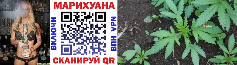 Бошки марихуана OG Kush  где найти   МЕГА ТОР  Козловка 